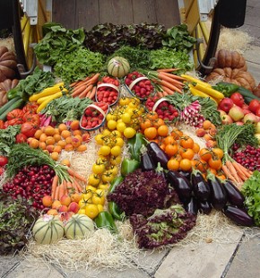 organic_farming_market